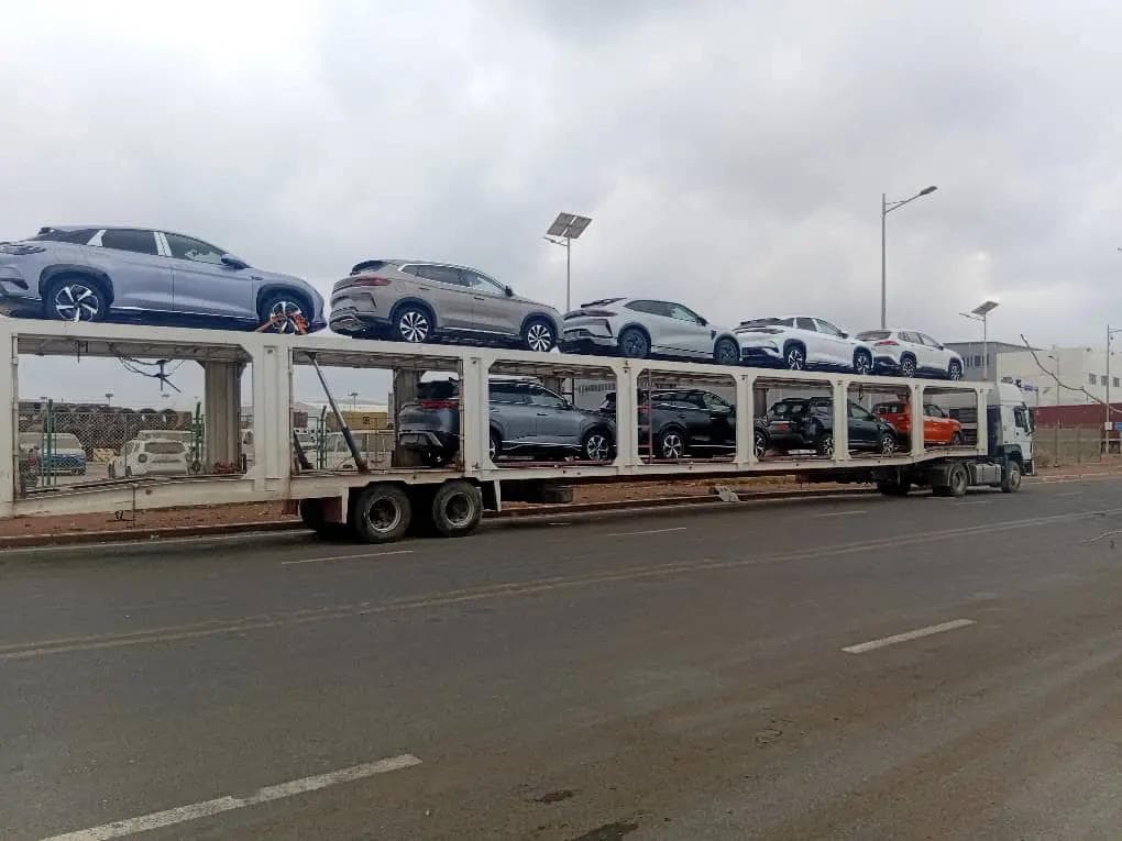 Imported vehicles on a transport carrier